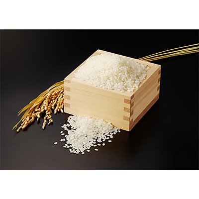 【令和3年産】なすの産米「なすそだち」10Kg