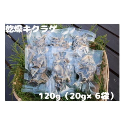乾燥キクラゲ　120g
