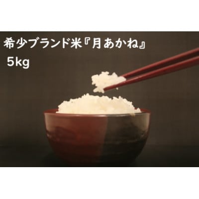 【令和7年産】品種指定『ミルキープリンセス』高山村のブランド米「月あかね」精米 5kg×1袋