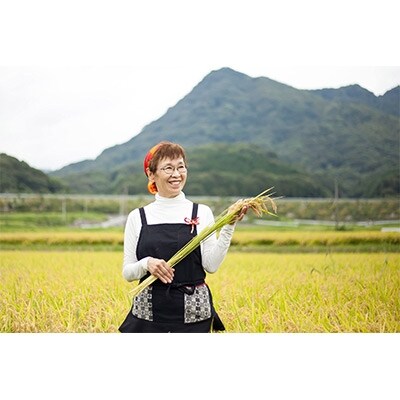 とんぼのこい餅(15個入り)