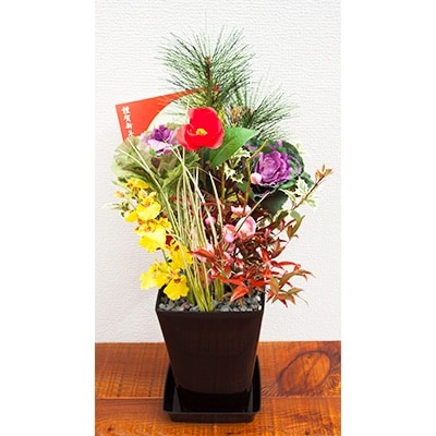 迎春洋風アレンジ寄せ植え小　6号  皿付