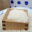 【2025年10月末より発送】有田の棚田米10kg