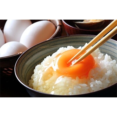 養鶏場直送!松浦の赤たまご(40個)