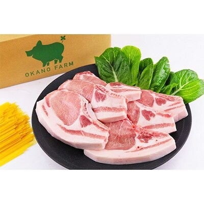 パスタ豚【なぽりとん】とんかつセット約1350g(ロース)
