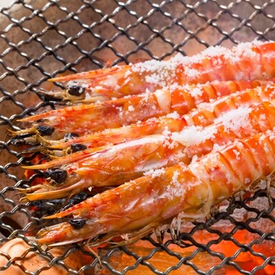 新松浦漁協　活きくるまえび　1kg 