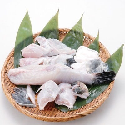 遠州灘天然とらふぐ(大)