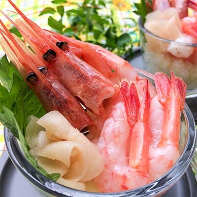 よねはるお薦めの越前甘エビ 大サイズ 卵あり 500g以上 お礼品詳細 ふるさと納税なら さとふる