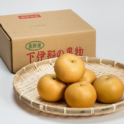 【南信州産】梨(南水)2kg
