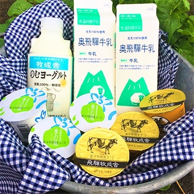 <明治30年創業の牛乳屋・牧成舎>飛騨の低温殺菌牛乳&ヨーグルトセット
