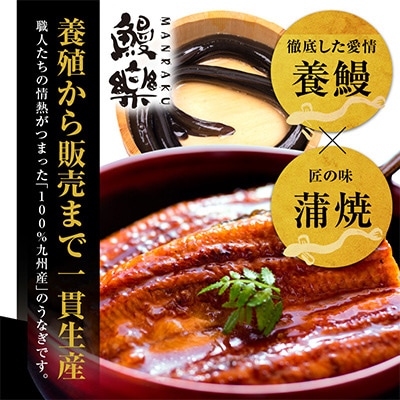 国産　うなぎ蒲焼3尾(計510g)