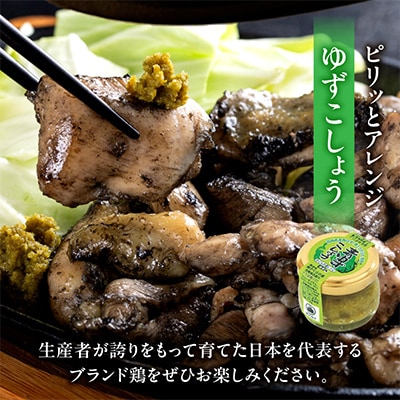 みやざき地頭鶏炭火焼(ゆずこしょう付)