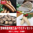 宮崎県産肉加工品バラエティセットA(合計9種 1.19kg)