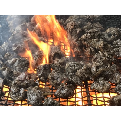 【冷蔵品】ひむか工房バラエティセットA(ギフト箱入)8種8品目1.01kg