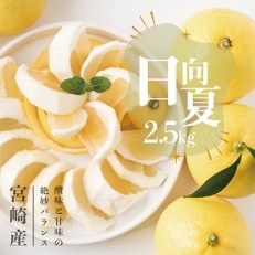 【JA宮崎中央管内産】日向夏 2.5kg