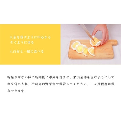 【JA宮崎中央管内産】日向夏 2.5kg