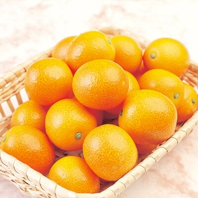 完熟きんかん　たまたまエクセレント3kg【JA宮崎中央管内産】(2021年発送)