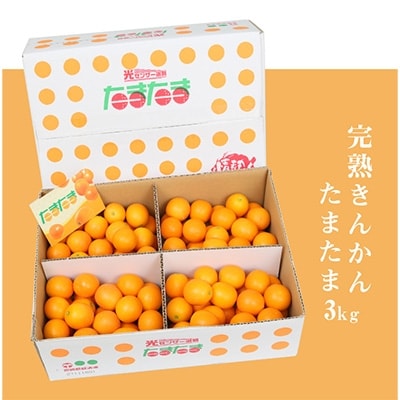 【JA宮崎中央管内産】完熟きんかんたまたま(3kg)