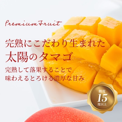 【JA宮崎中央管内産】太陽のタマゴ　3L×2玉入り・900g以上