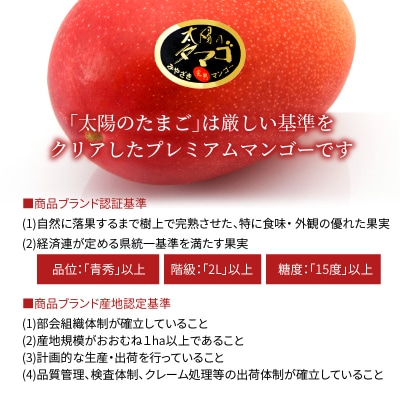 【JA宮崎中央管内産】太陽のタマゴ　3L×2玉入り・900g以上