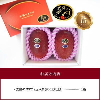 【JA宮崎中央管内産】太陽のタマゴ　3L×2玉入り・900g以上