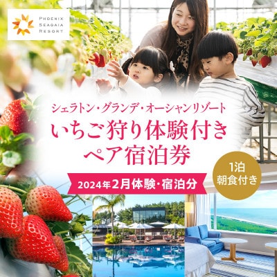 【2024年2月】いちご狩り体験付きシェラトン・グランデ・オーシャンリゾートペア宿泊券