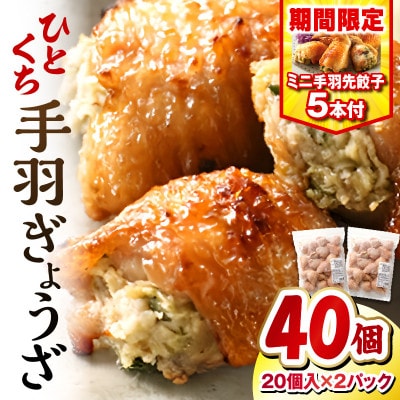 【特別企画】ひとくち手羽餃子(ぎょうざ)660g 20個入×2パック