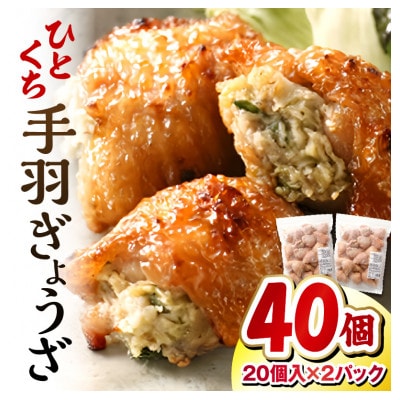 ひとくち手羽餃子(ぎょうざ)660g 20個入×2パック