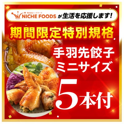 【特別企画】ひとくち手羽餃子(ぎょうざ)660g 20個入×2パック