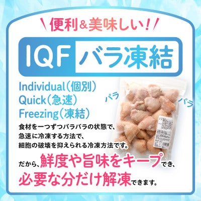 ひとくち手羽餃子(ぎょうざ)660g 20個入×2パック