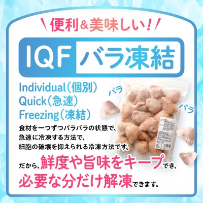 ひとくち手羽餃子(ぎょうざ)660g 20個入×2パック