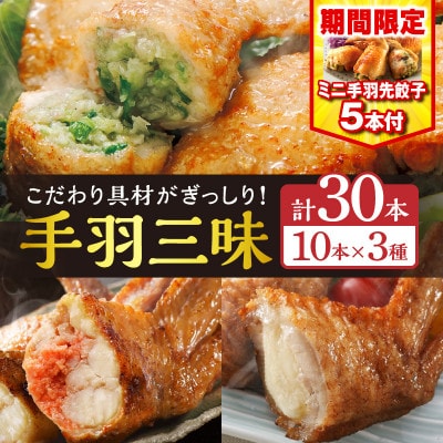 【特別企画】【宮崎製造】手羽三昧3種セット(手羽先餃子・手羽先明太・手羽先チーズ、各10本入り)