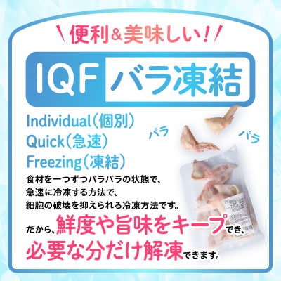 【宮崎製造】手羽三昧3種セット(手羽先餃子・手羽先明太・手羽先チーズ、各10本入り)