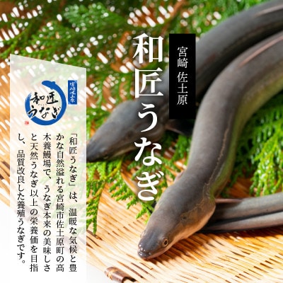 【宮崎県佐土原産】備長炭手焼き　和匠うな丼の素　10袋入り