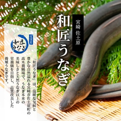 【宮崎県佐土原産】備長炭手焼き 和匠うなぎの蒲焼き2尾+白焼2尾　計4尾セット