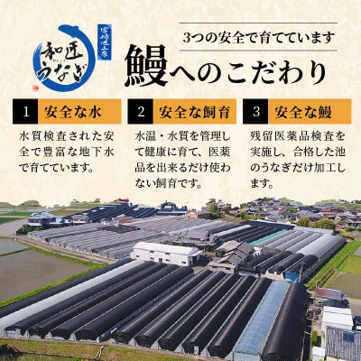 【宮崎県佐土原産】備長炭手焼き 和匠うなぎの蒲焼き2尾+白焼2尾　計4尾セット