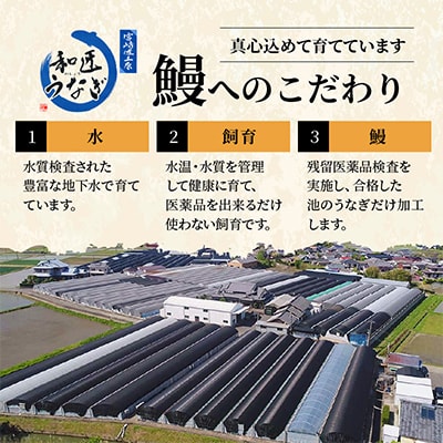 【宮崎県佐土原産】備長炭手焼き 和匠うなぎの蒲焼き2尾+白焼2尾　計4尾セット