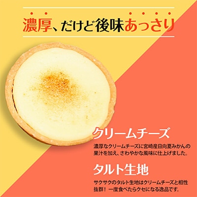 チータル 15個入
