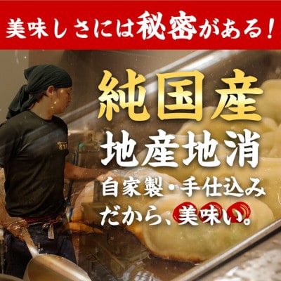 宮崎とんこつ・宮崎ぎょうざ満足セット