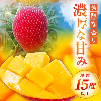 太陽のタマゴ 4L×2玉  宮崎完熟マンゴー 糖度15度以上 最高級スイーツ 合計約1kg