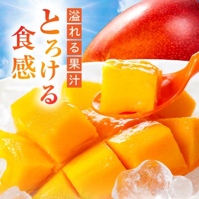 太陽のタマゴ 4L×2玉  宮崎完熟マンゴー 糖度15度以上 最高級スイーツ 合計約1kg