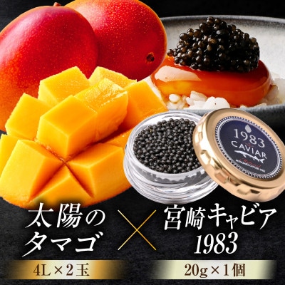 最高級グルメ 太陽のタマゴ(4L×2玉)&宮崎キャビア1983(20g)【複数個口で配送】