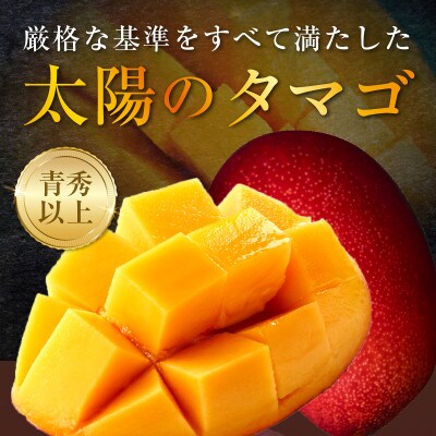 最高級グルメ 太陽のタマゴ(4L×2玉)&宮崎キャビア1983(20g)【複数個口で配送】