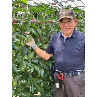 8年かけて誕生した宮崎県産パッションフルーツ　L　2kg
