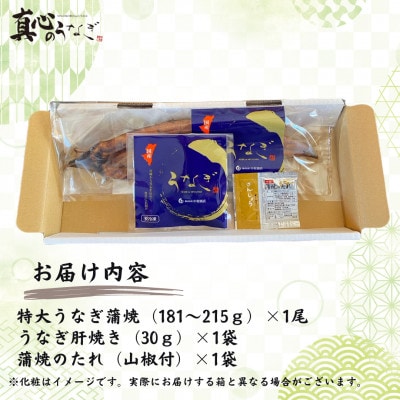 うなぎ蒲焼・肝焼セット
