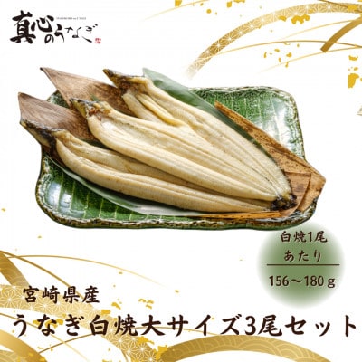 宮崎県産　うなぎ白焼大サイズ3尾セット