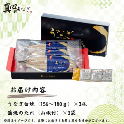 宮崎県産　うなぎ白焼大サイズ3尾セット