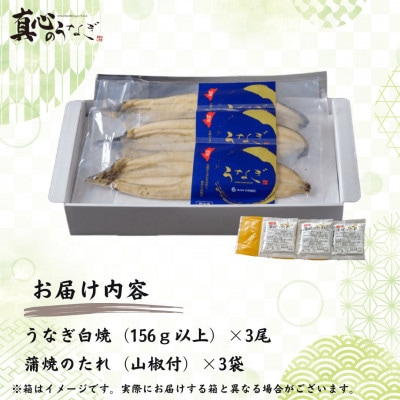 宮崎県産 うなぎ白焼大サイズ3尾セット