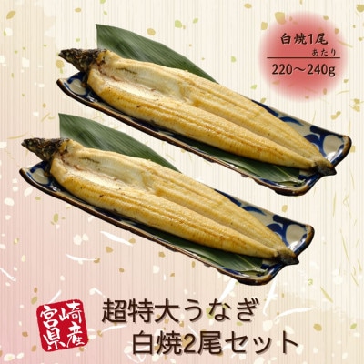 宮崎県産うなぎ白焼2尾セット(1尾あたり220～240g)