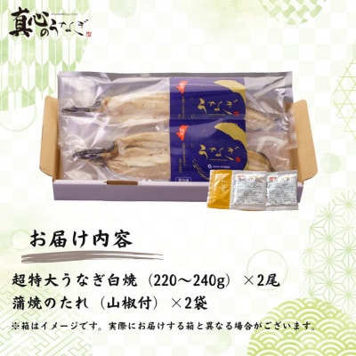 宮崎県産うなぎ白焼2尾セット(1尾あたり220～240g)