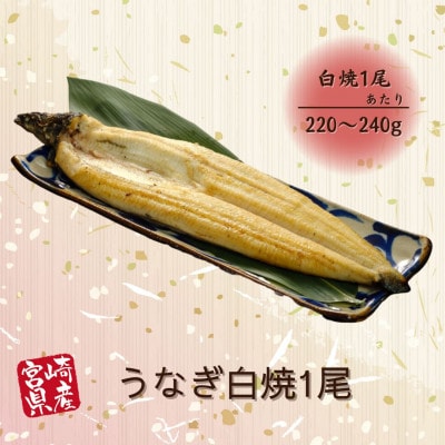 宮崎県産うなぎ白焼1尾セット(1尾あたり220～240g)